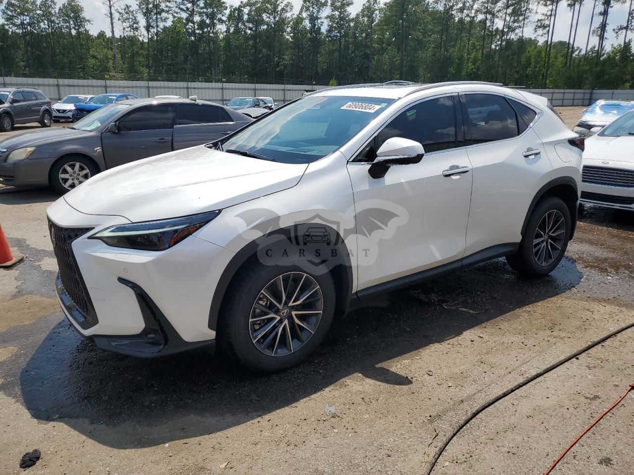Lexus NX 350 LUXURY 2.4L  4 2024
