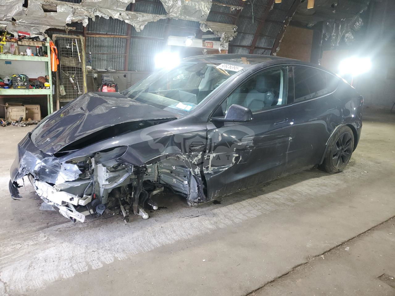 Tesla Model Y 2024