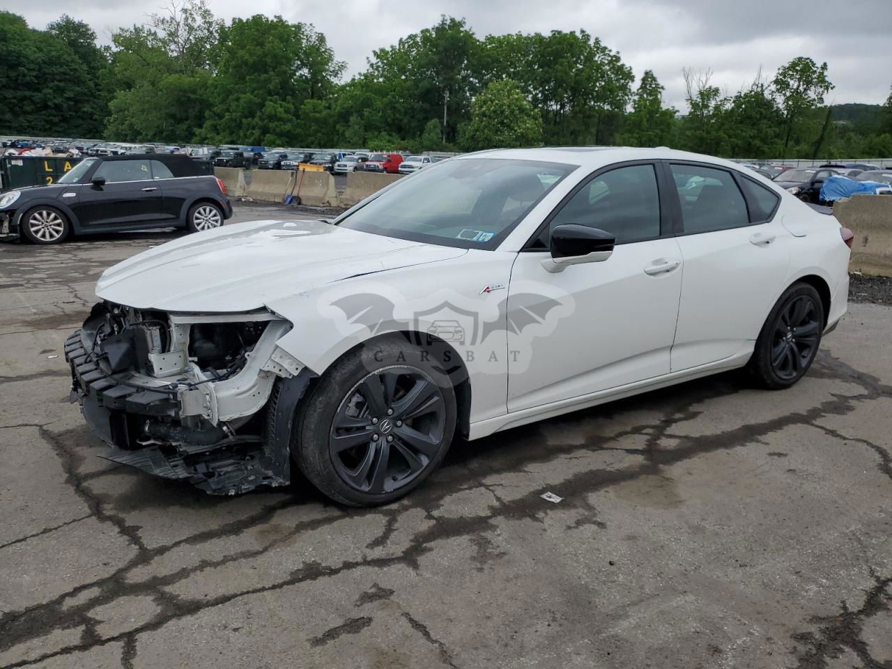 Acura TLX A-SPEC 2.0L  4 2023