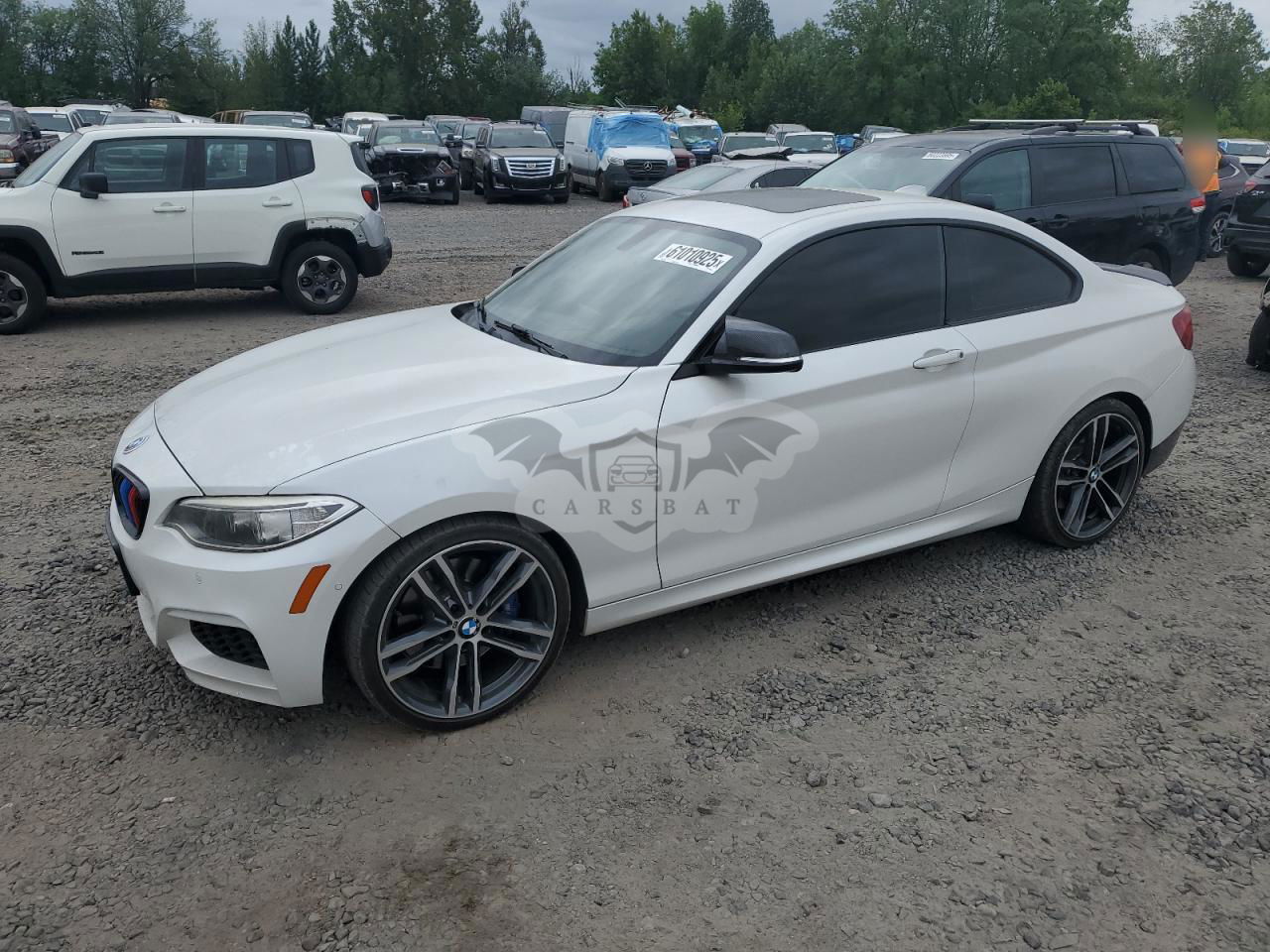 BMW M2 3.0L  6 2015