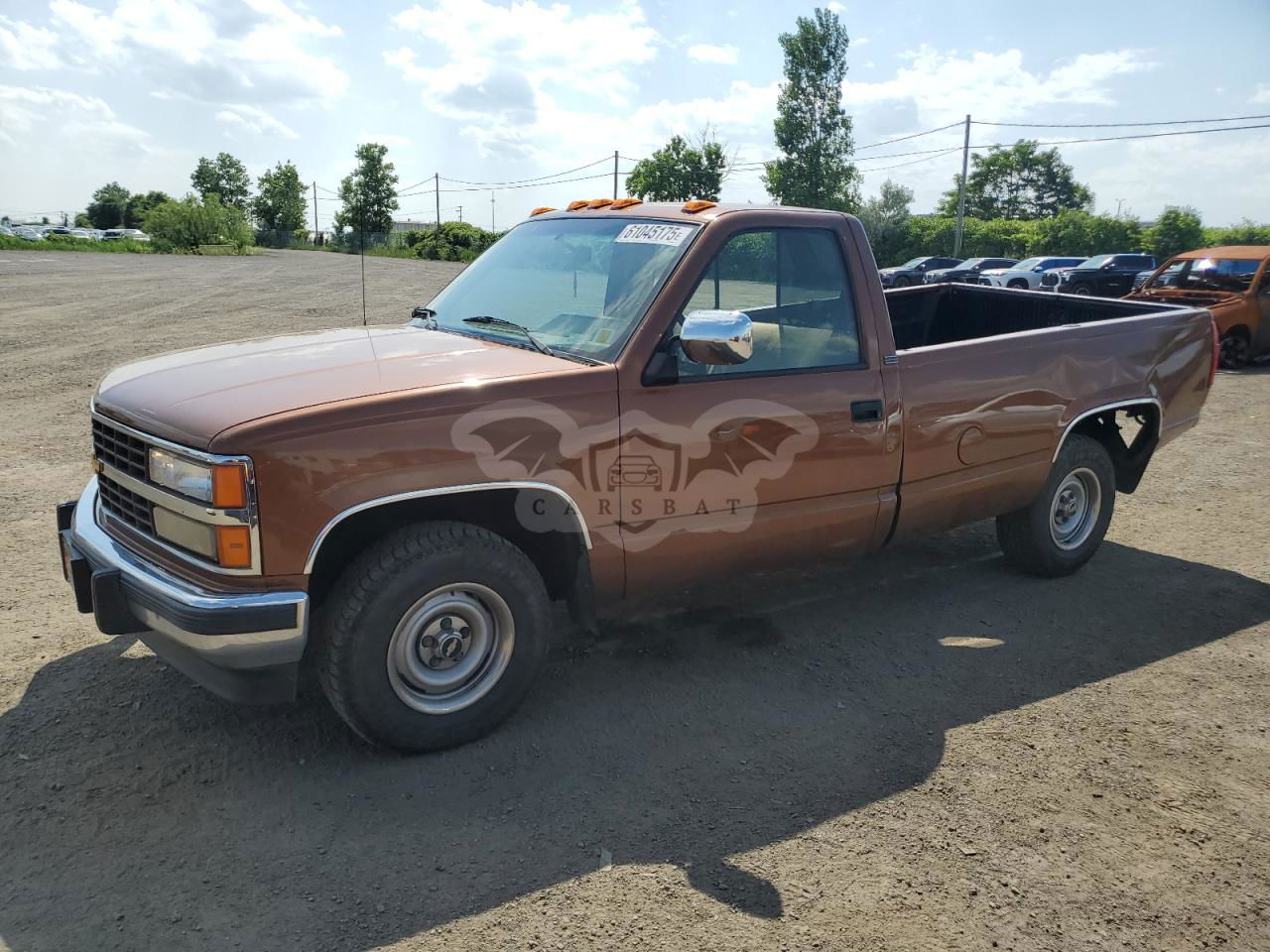 Chevrolet C/K Series C1500 5.0L  8 1990