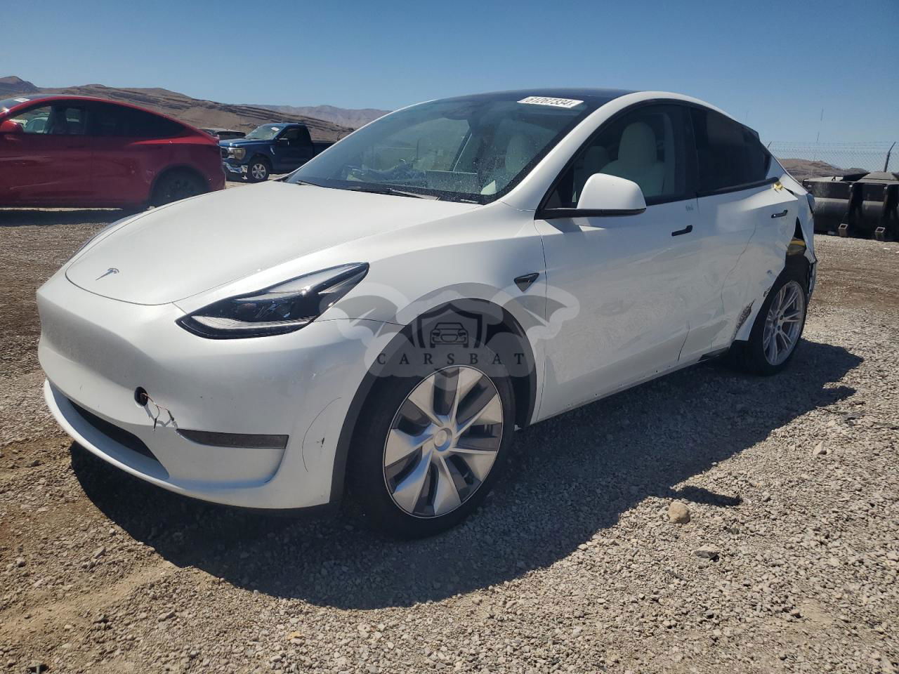 Tesla Model Y 2024