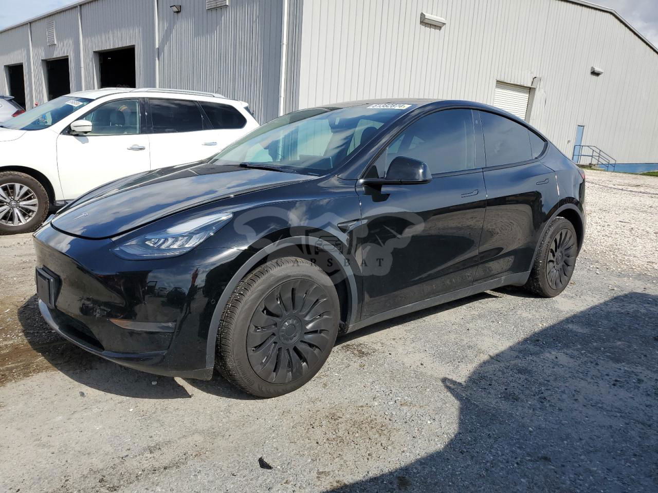 Tesla Model Y 2020