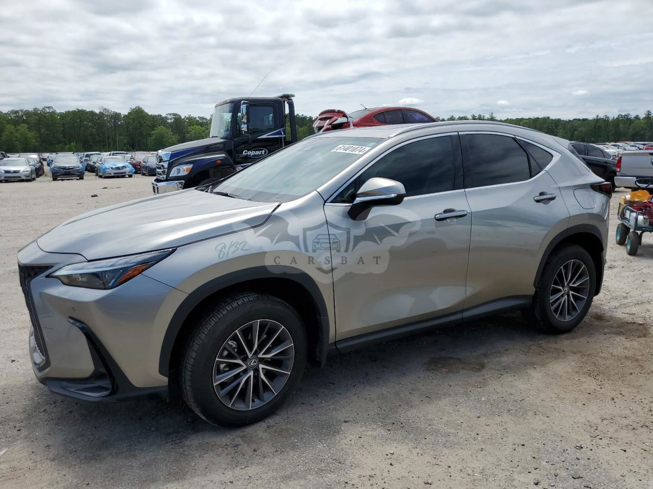 Lexus NX 2024