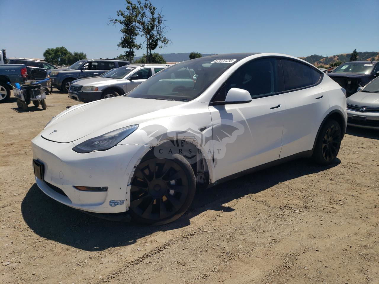 Tesla Model Y 2021