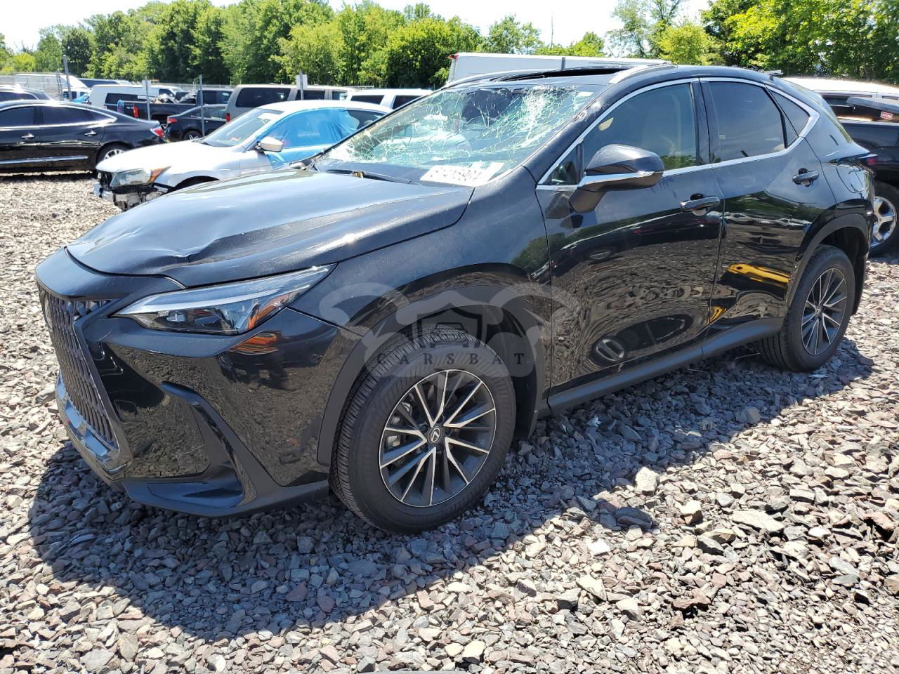 Lexus NX 350 BASE 2.4L  4 2024