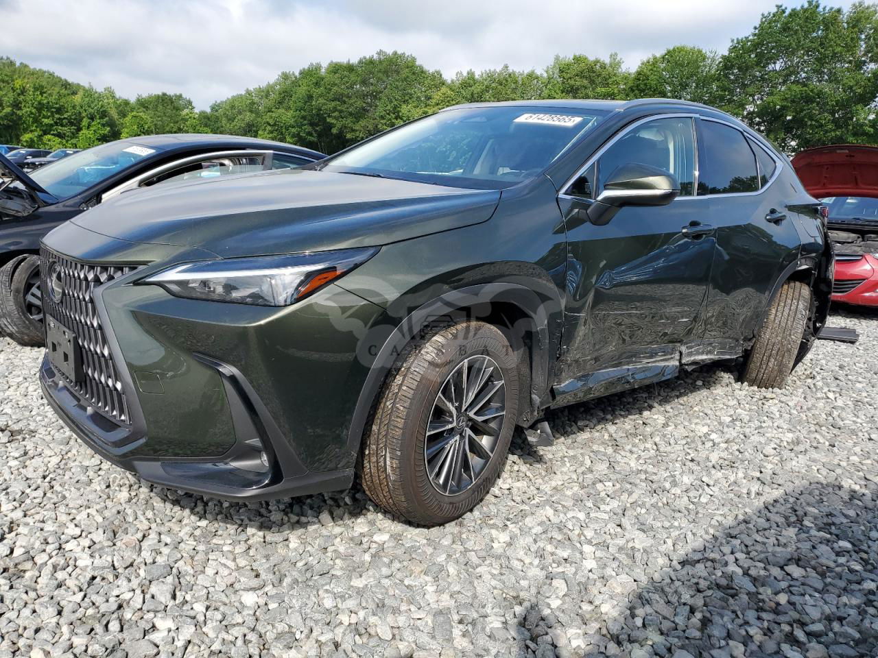 Lexus NX 350H BASE 2.5L  4 2024