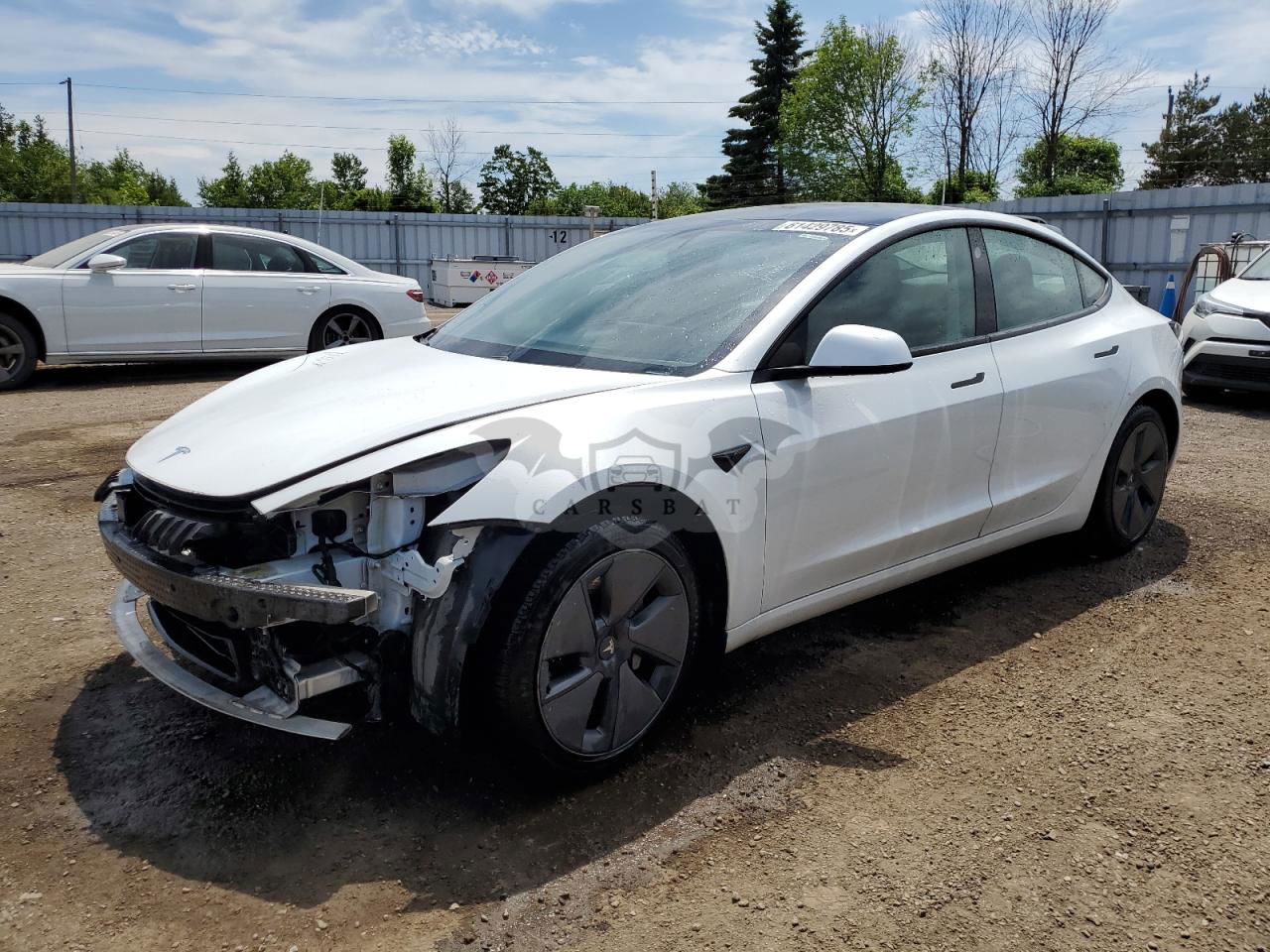 Tesla Model 3 2021