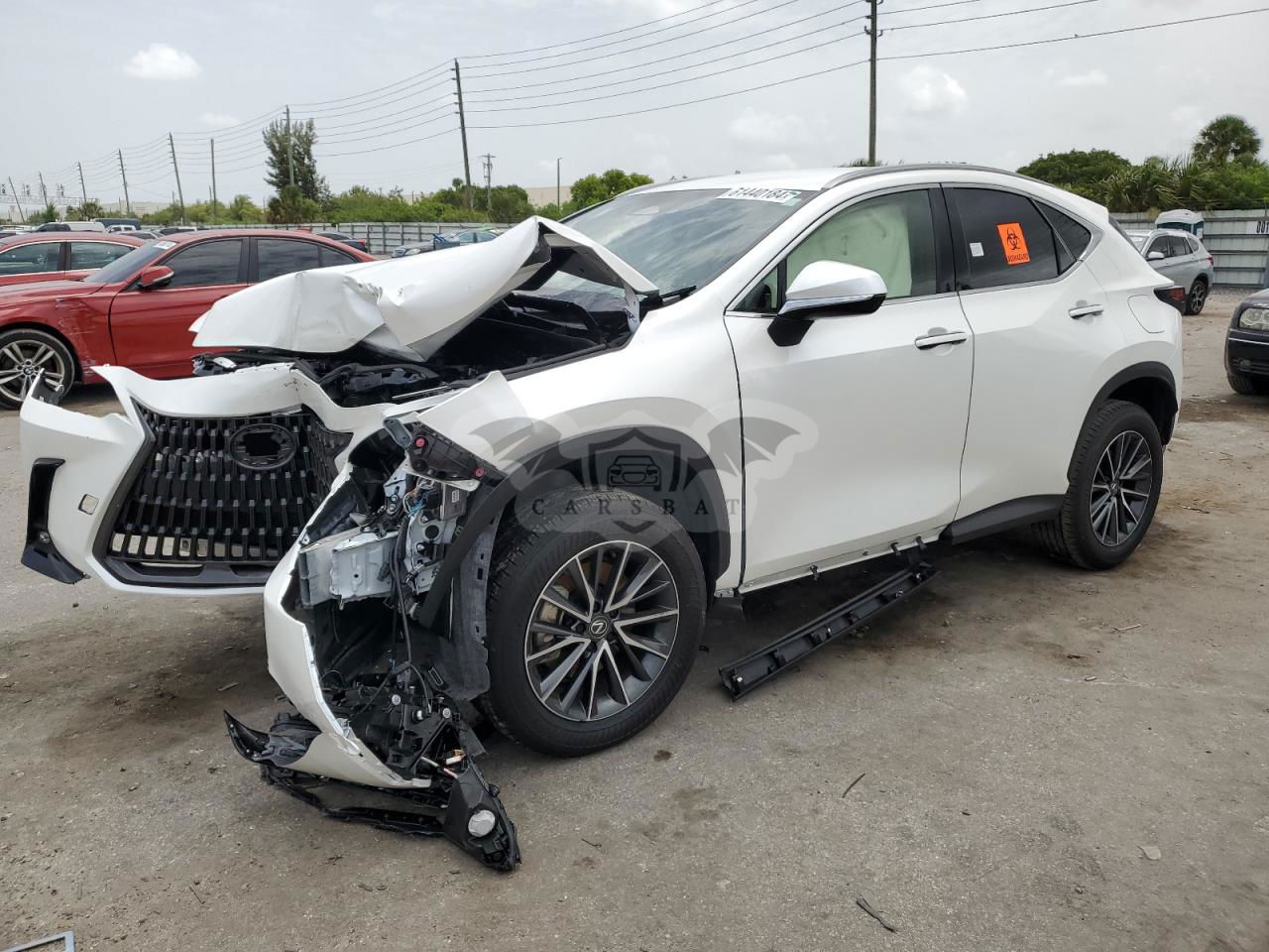 Lexus NX 250 BASE 2.5L  4 2024