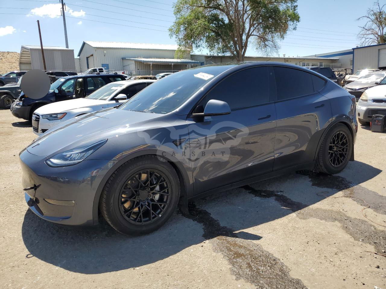 Tesla Model Y 2020