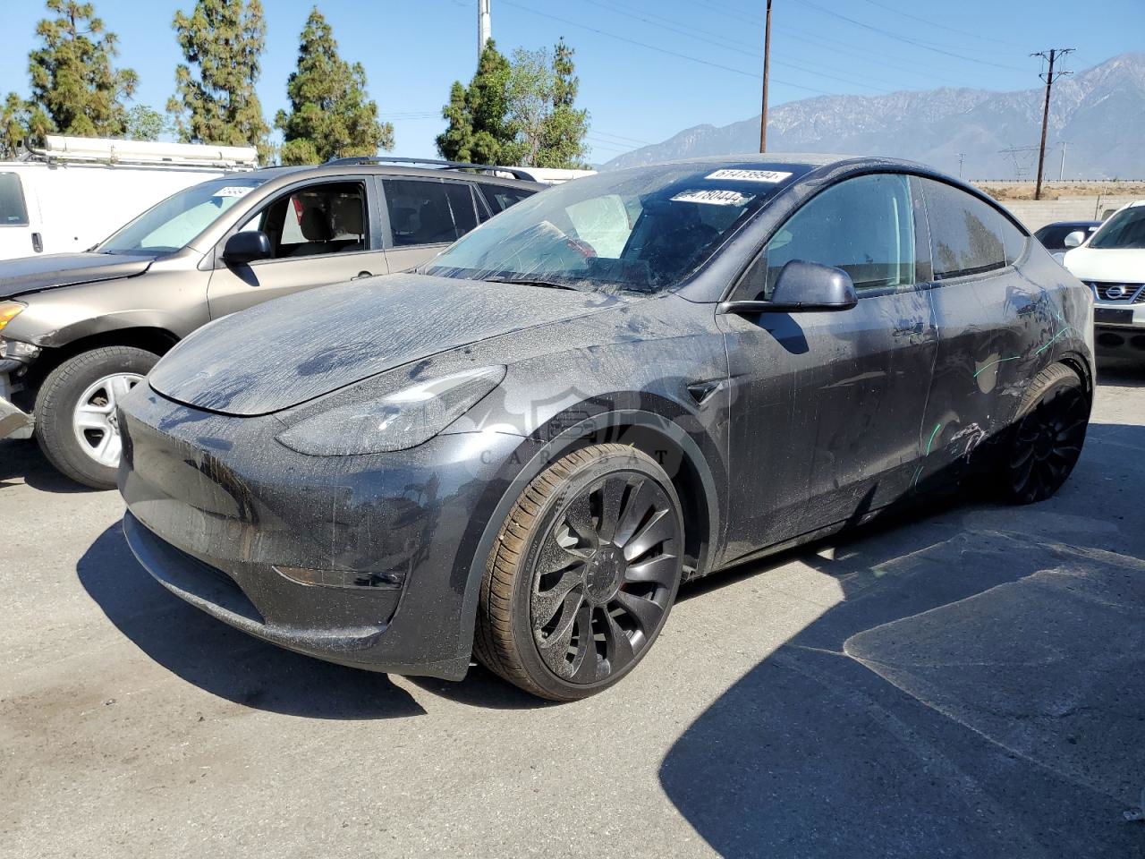 Tesla Model Y 2024