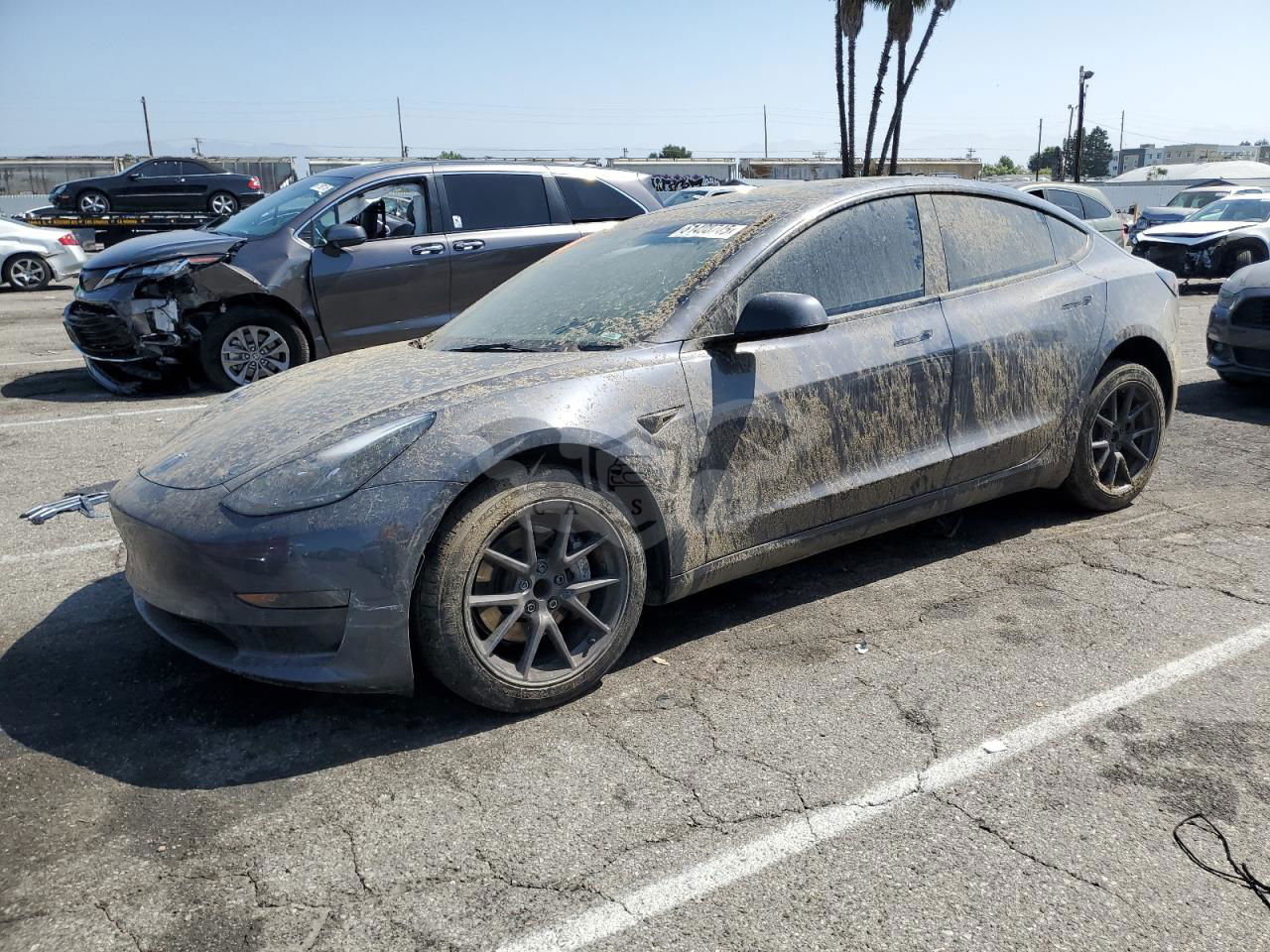 Tesla Model 3 2023