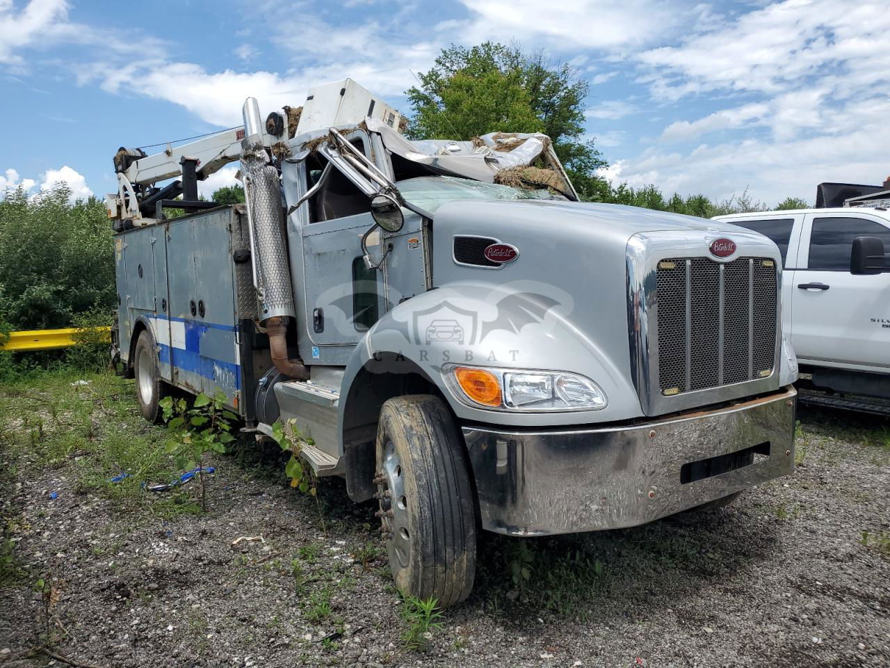 Peterbilt 330/337/348 8.9L  6 2015