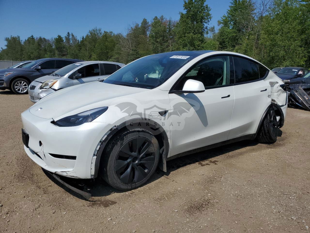 Tesla Model Y 2024