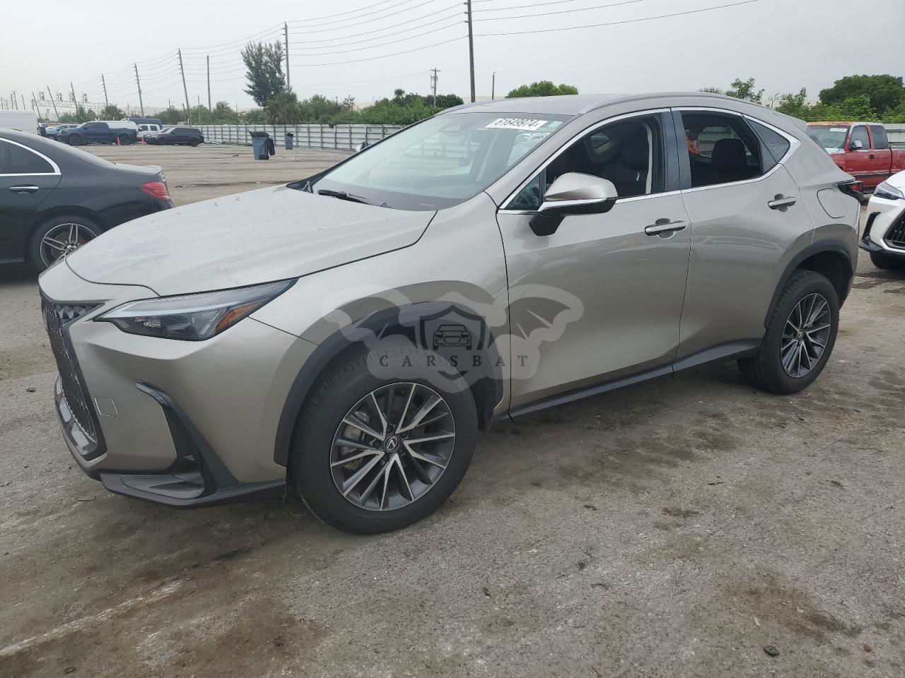 Lexus NX 250 BASE 2.5L  4 2024