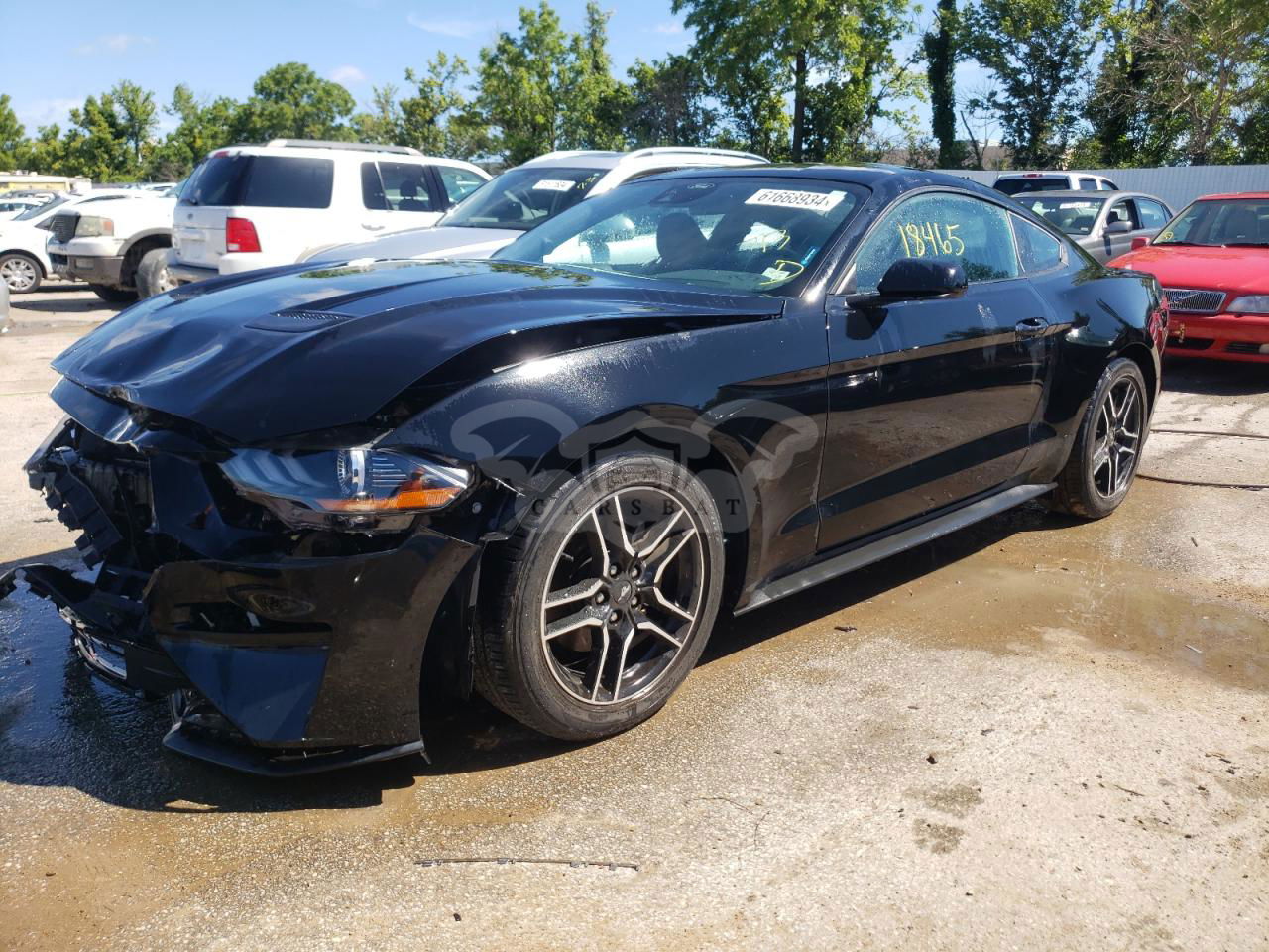 Ford Mustang 2.3L  4 2021