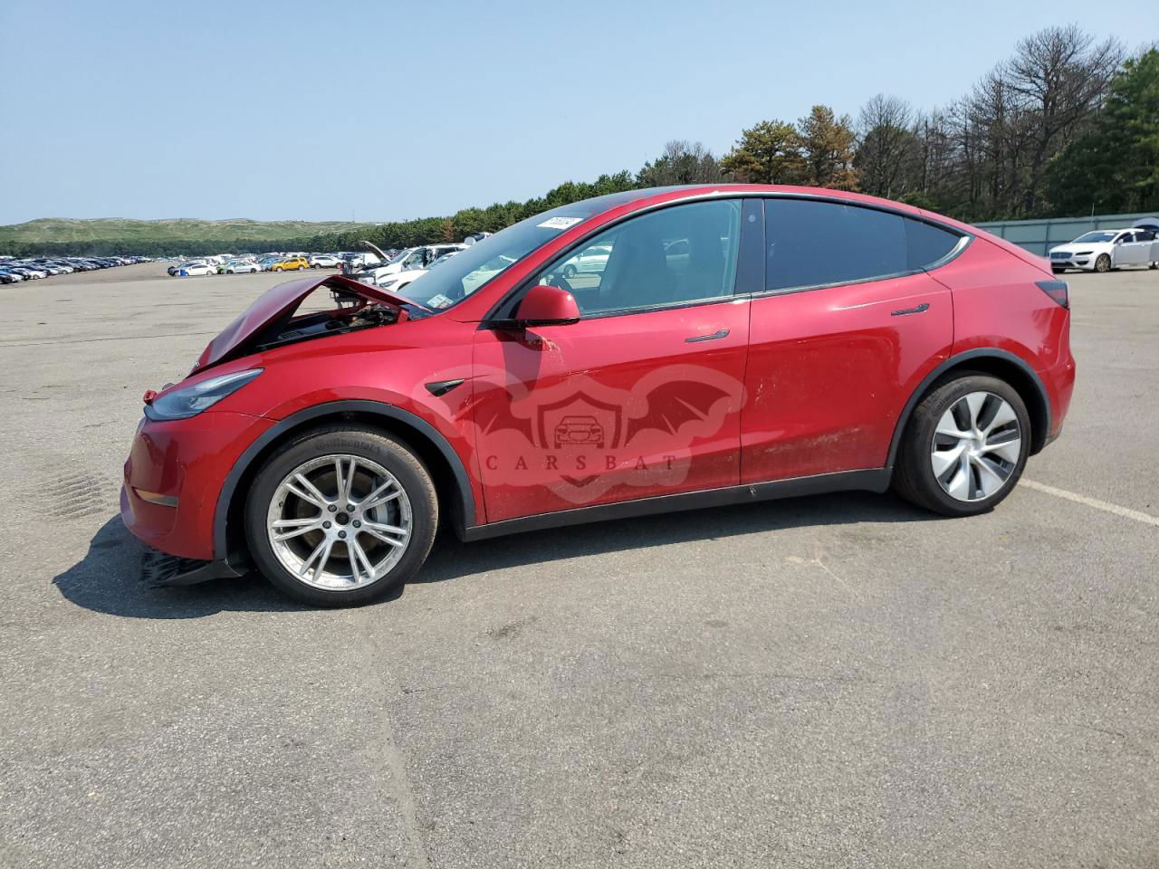 Tesla Model Y 2021