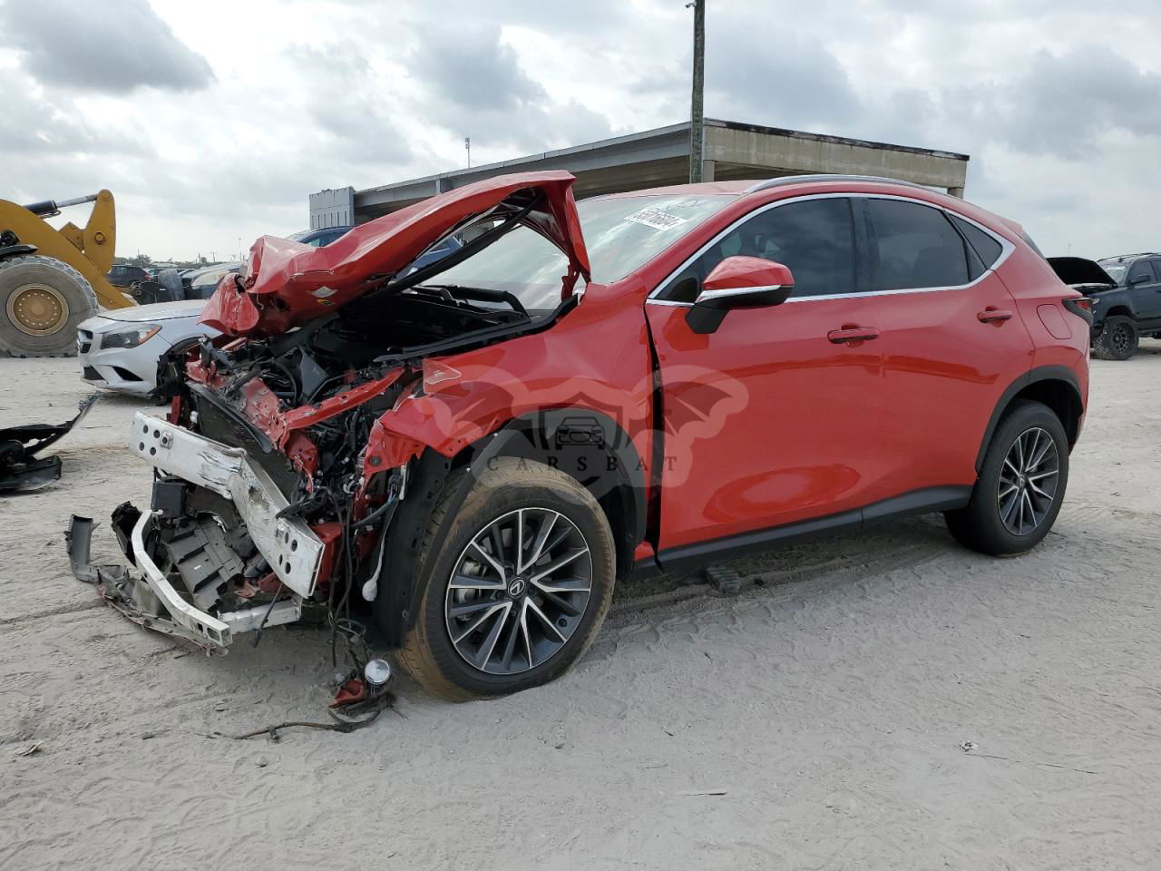 Lexus NX 2024