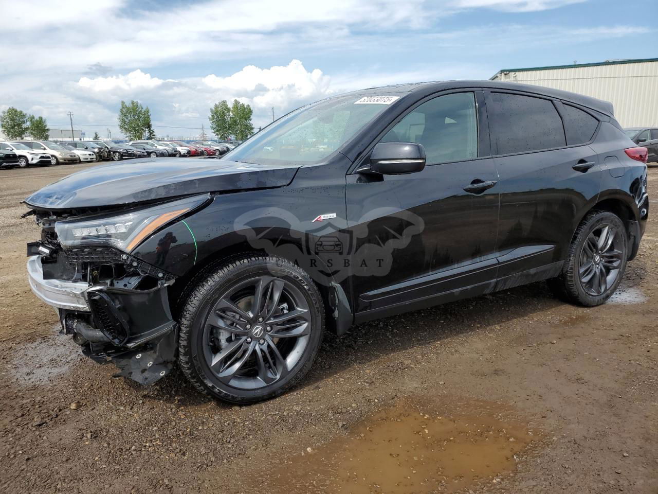 Acura RDX A-SPEC 2.0L  4 2024
