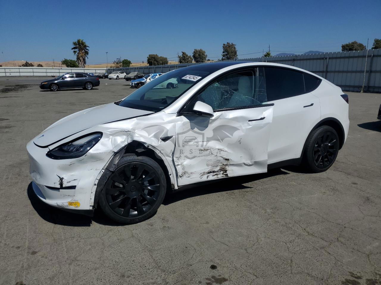 Tesla Model Y 2022