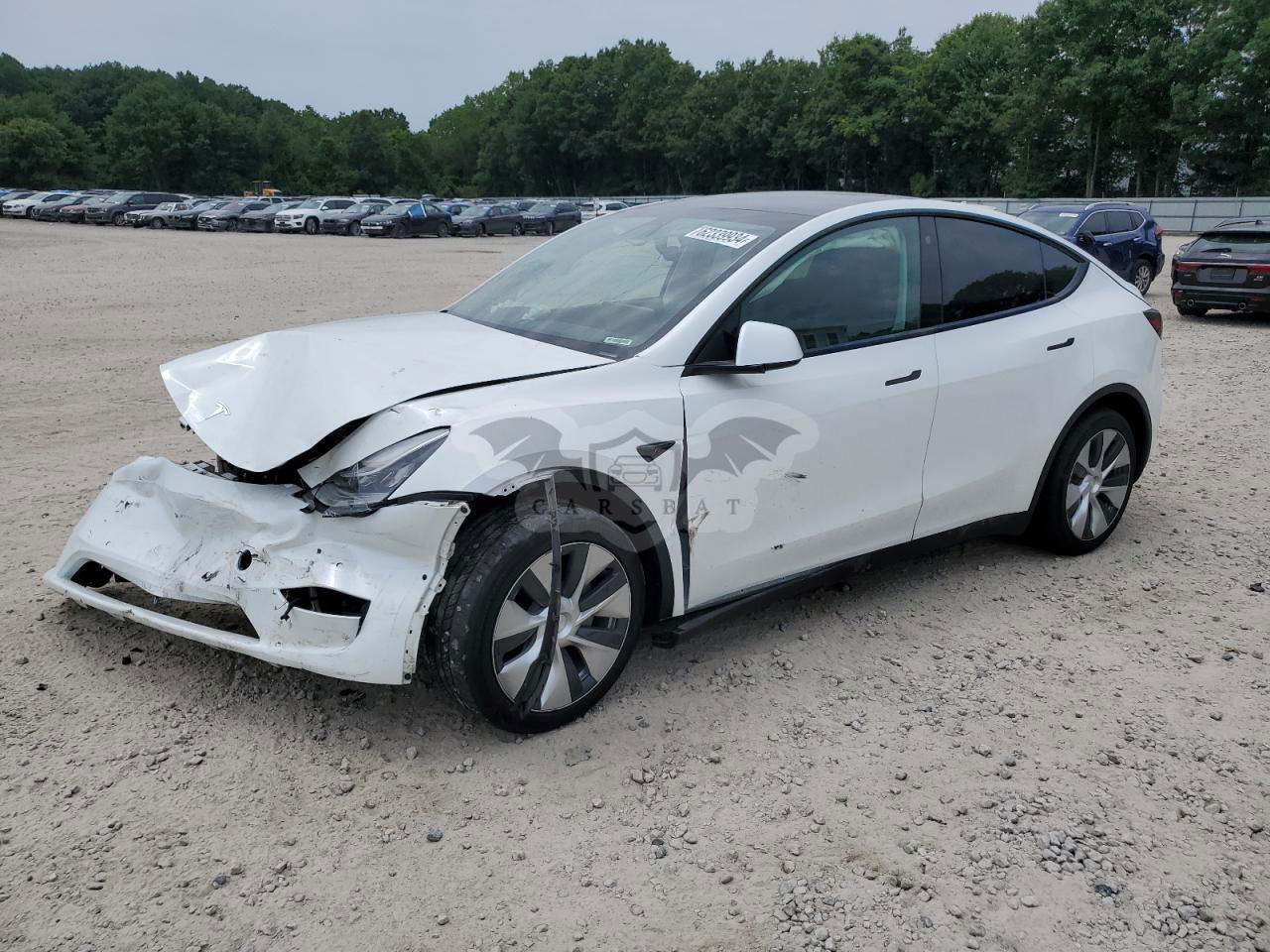 Tesla Model Y 2021