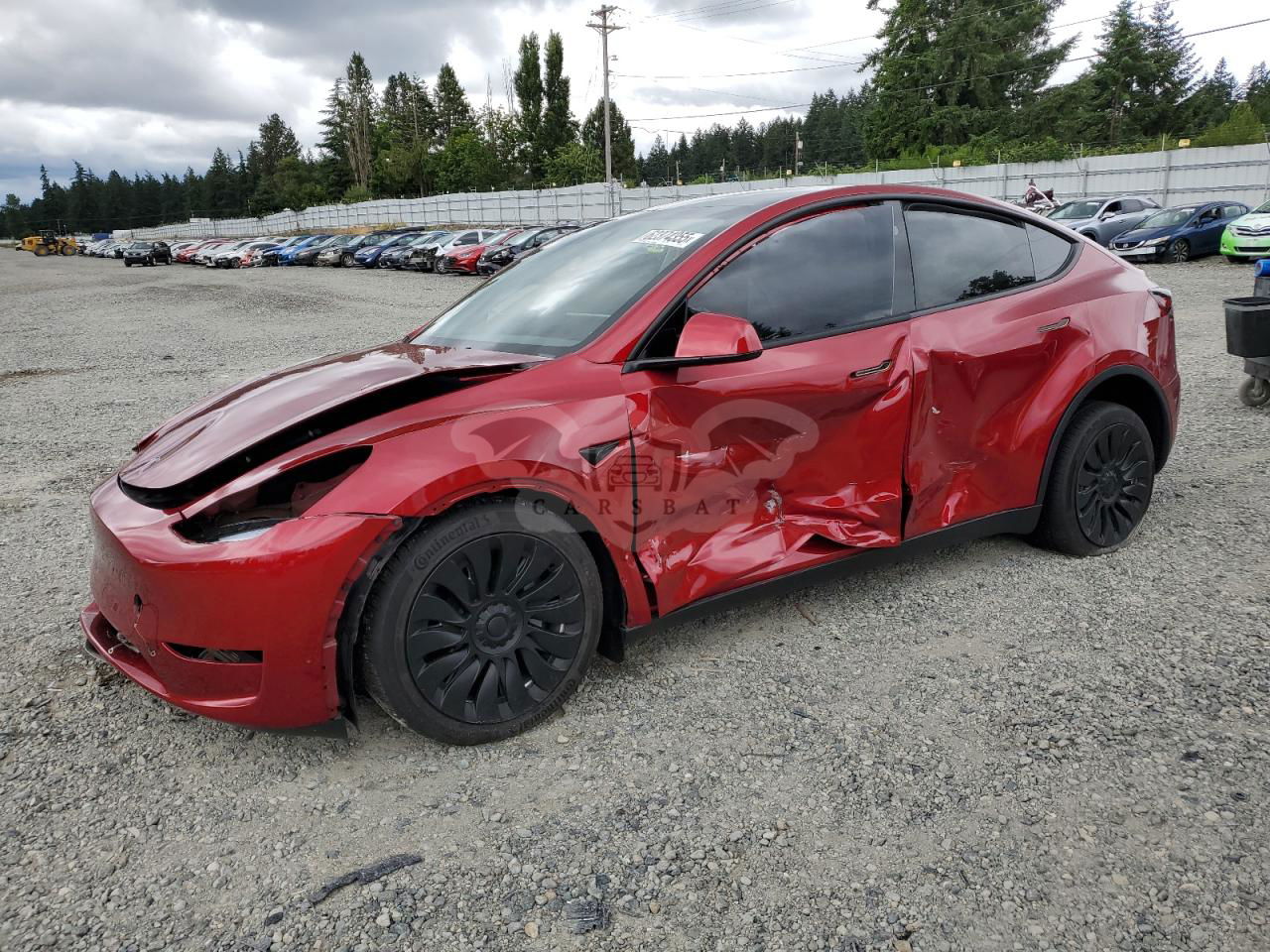 Tesla Model Y 2024