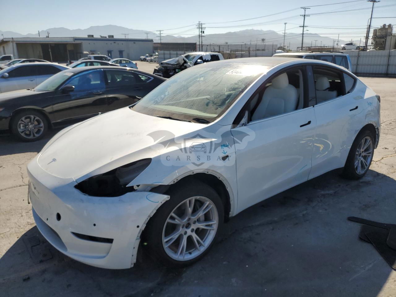 Tesla Model Y 2021