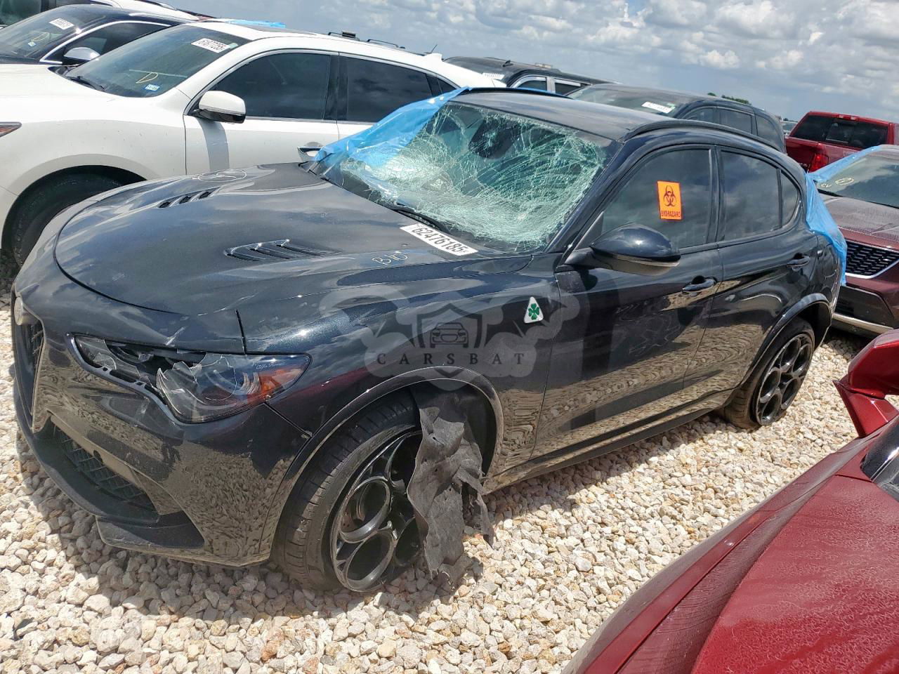 Alfa Romeo Stelvio QUADRIFOGLIO 2.9L  6 2024