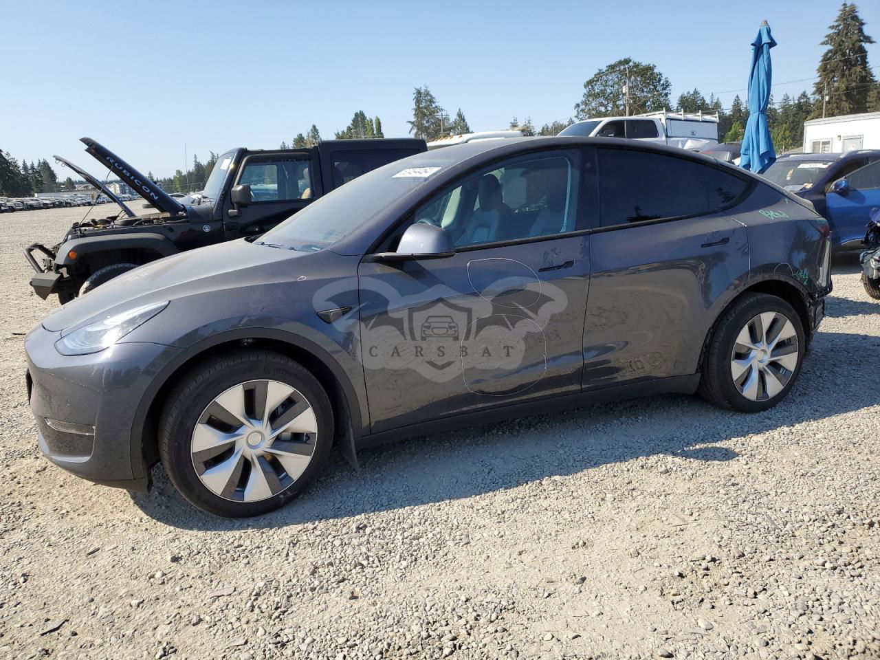 Tesla Model Y 2020