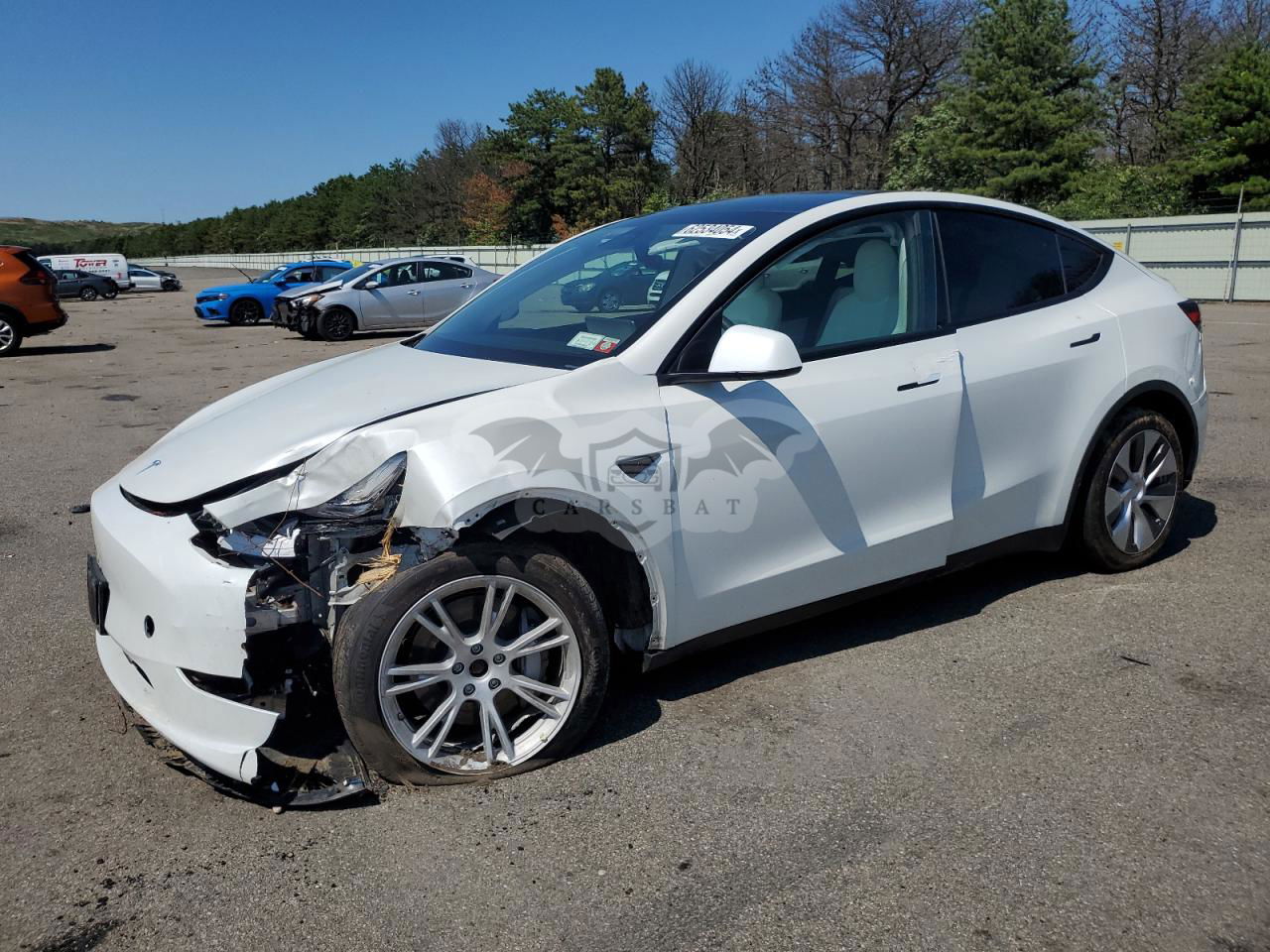Tesla Model Y 2021
