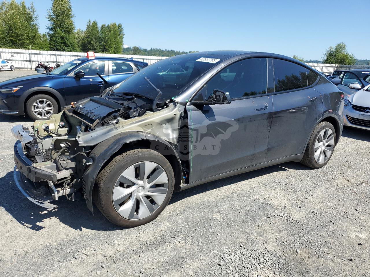 Tesla Model Y 2024