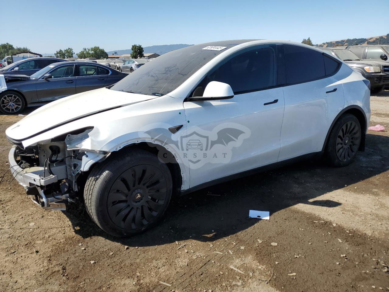 Tesla Model Y 2024