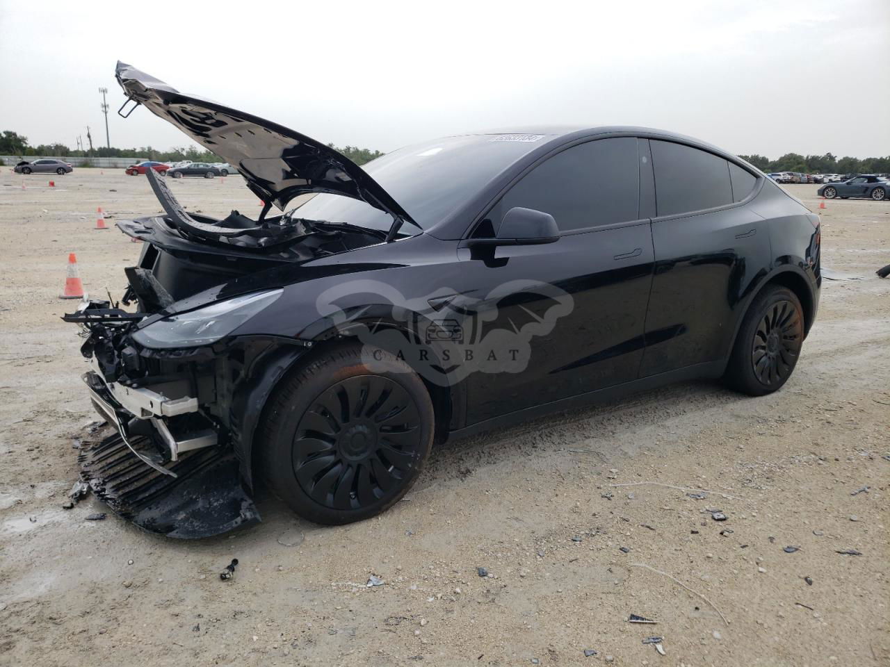 Tesla Model Y 2024
