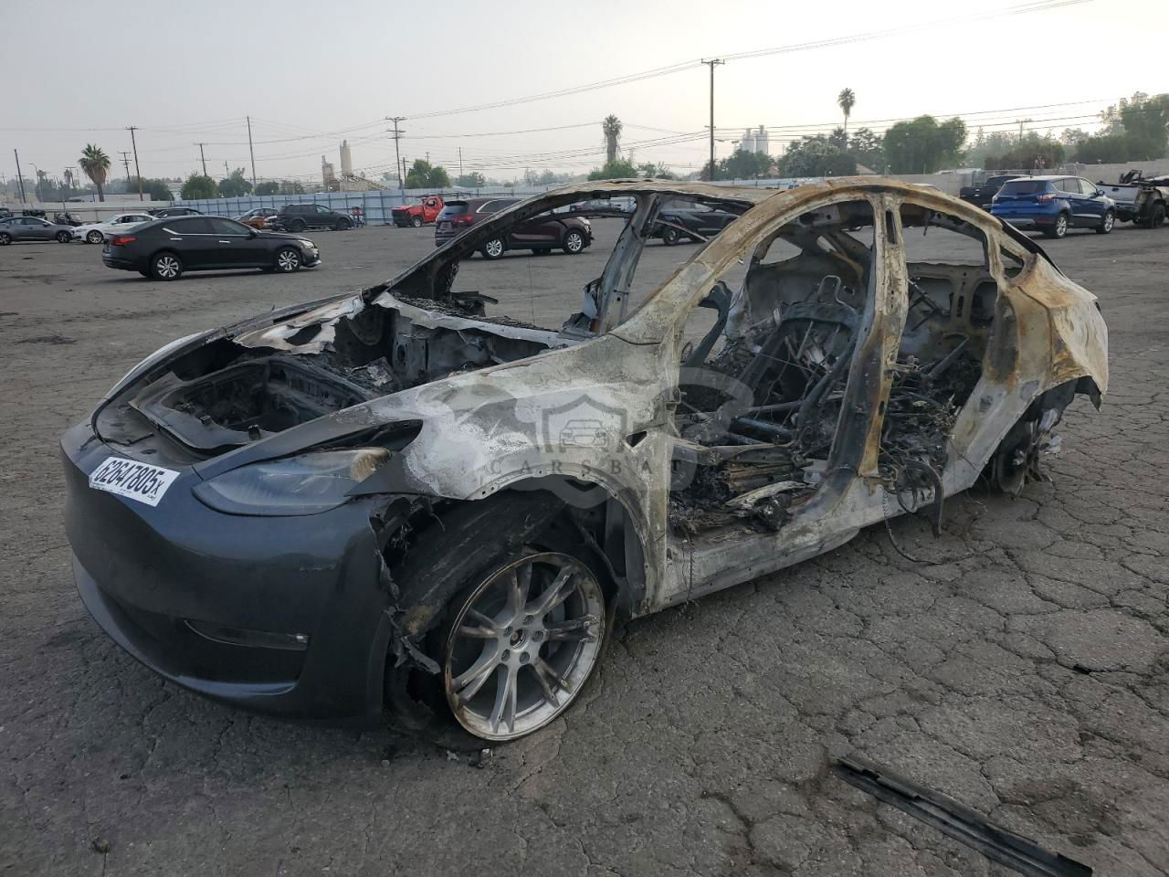 Tesla Model Y 2024