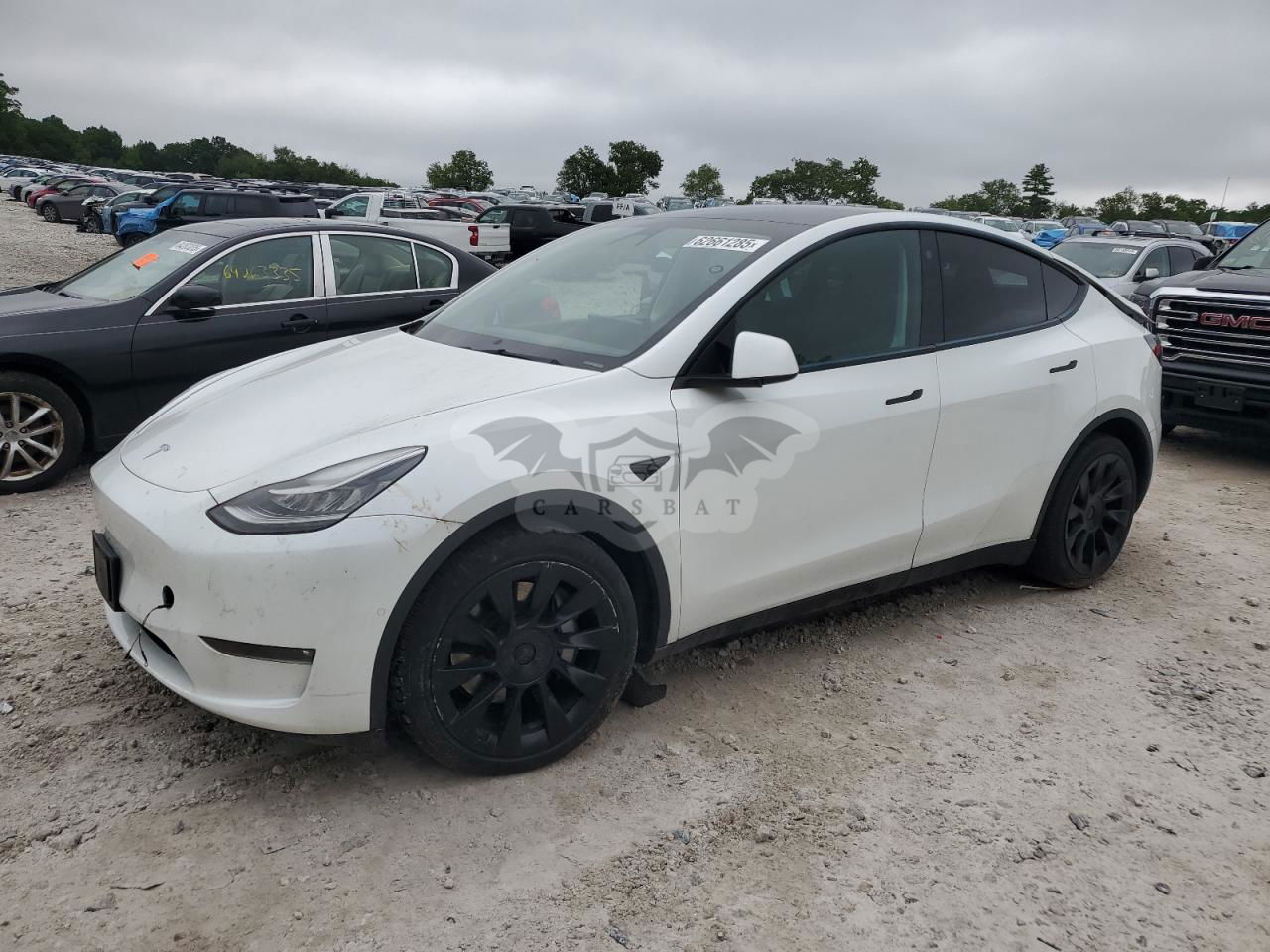 Tesla Model Y 2021