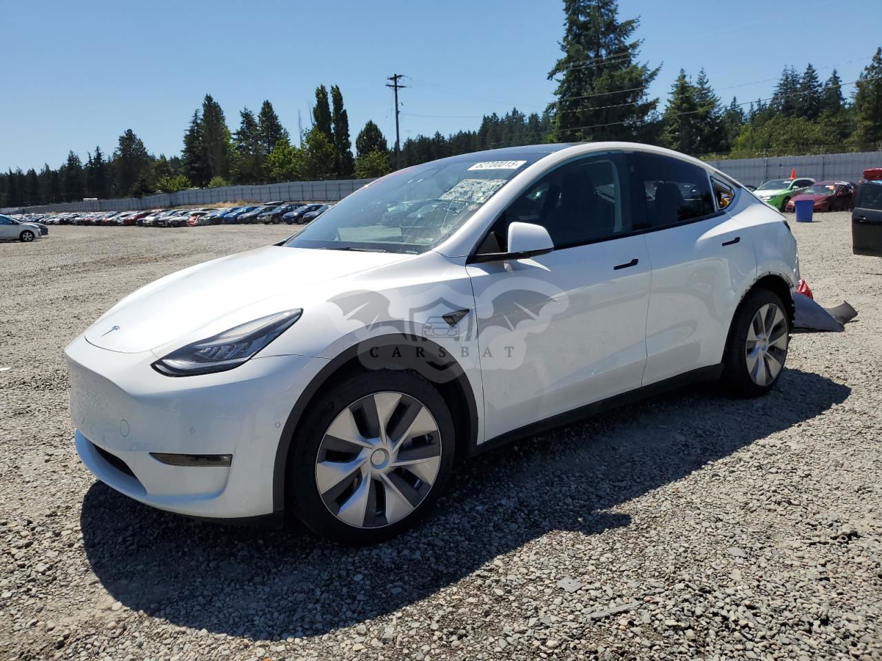 Tesla Model Y 2021