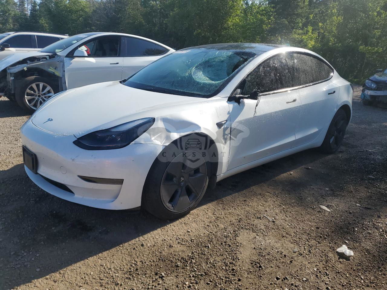 Tesla Model 3 2023