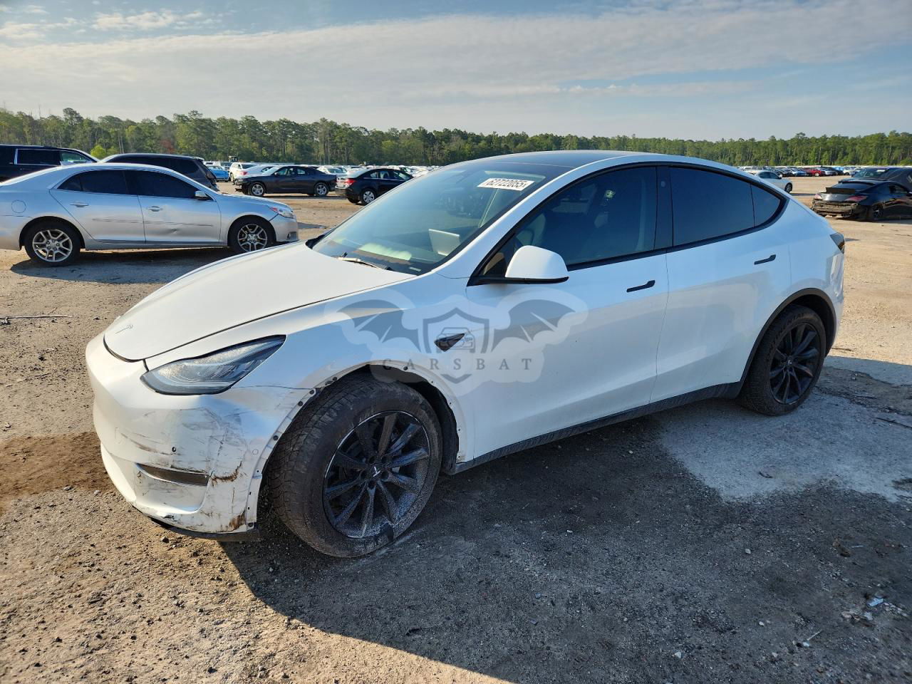 Tesla Model Y 2022