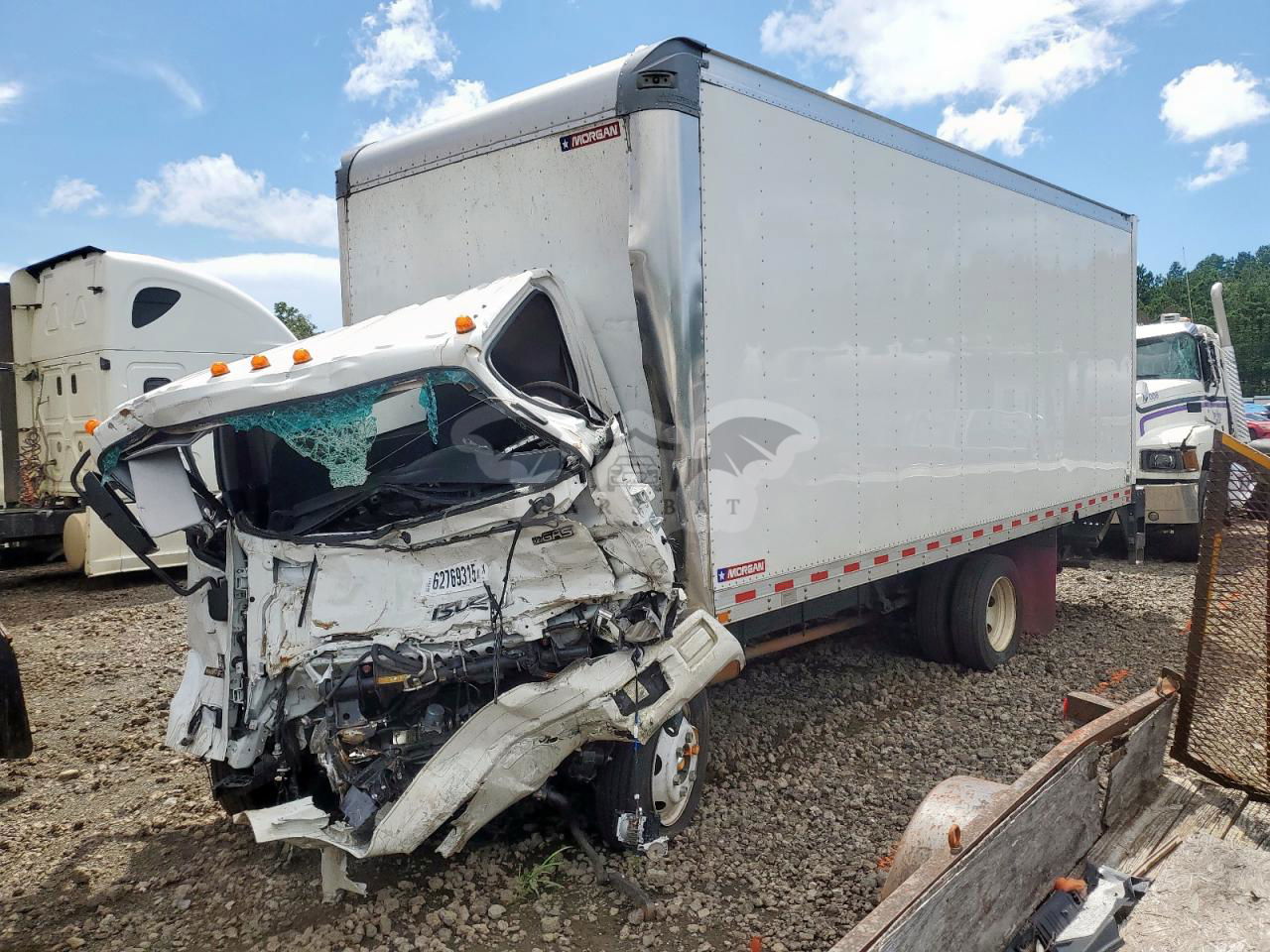 Isuzu NPR 6.6L  8 2024