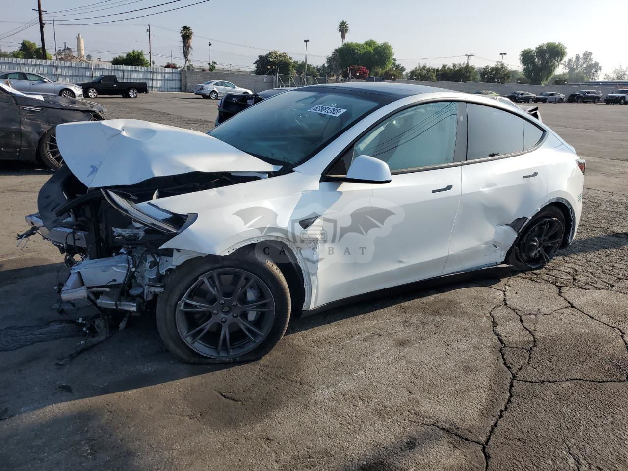 Tesla Model Y 2024