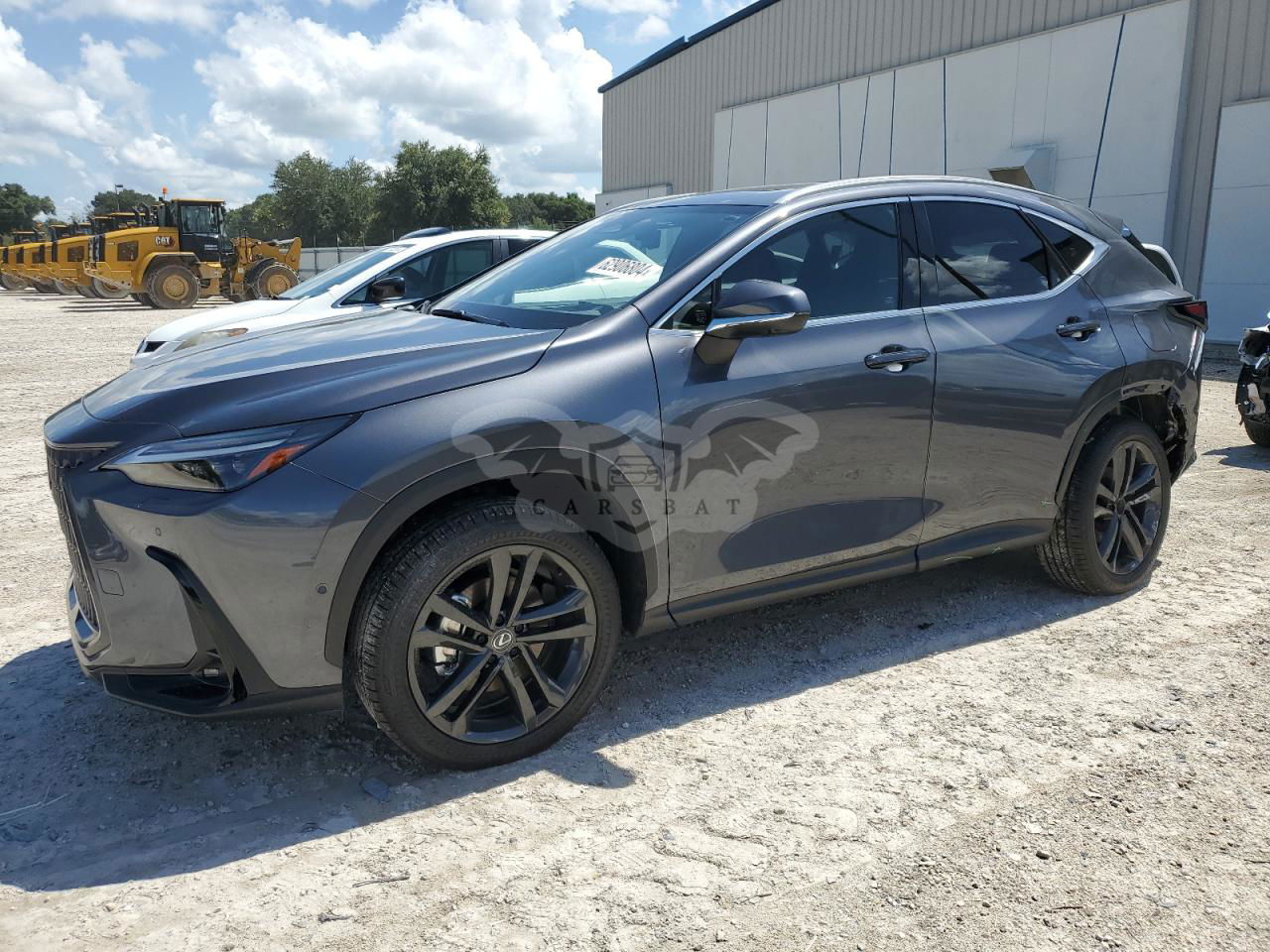 Lexus NX 2024