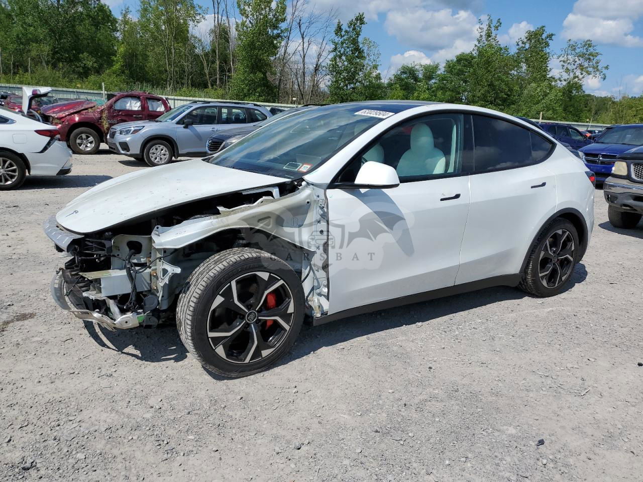 Tesla Model Y 2020