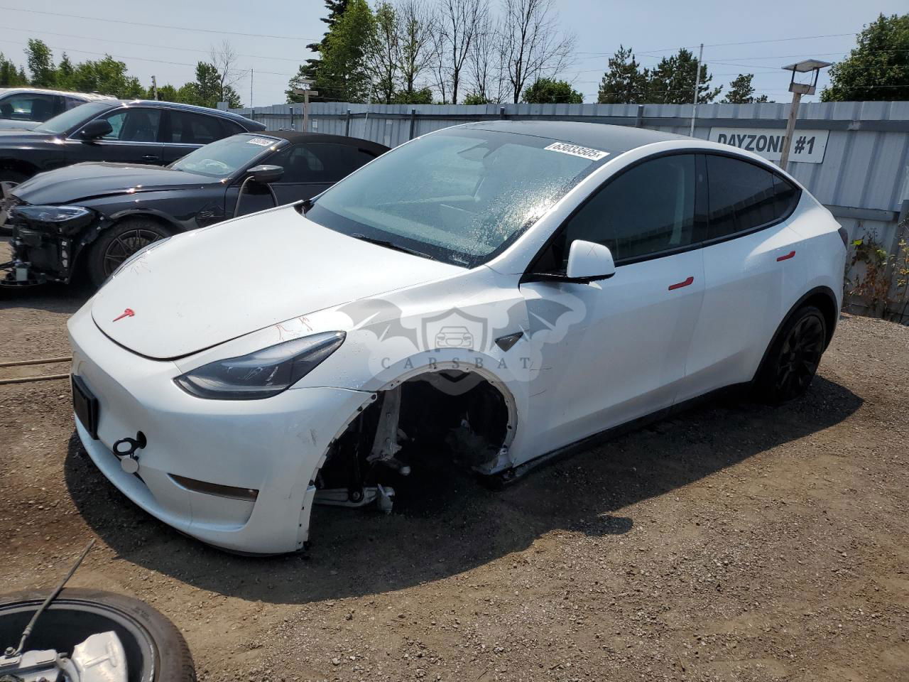 Tesla Model Y 2024