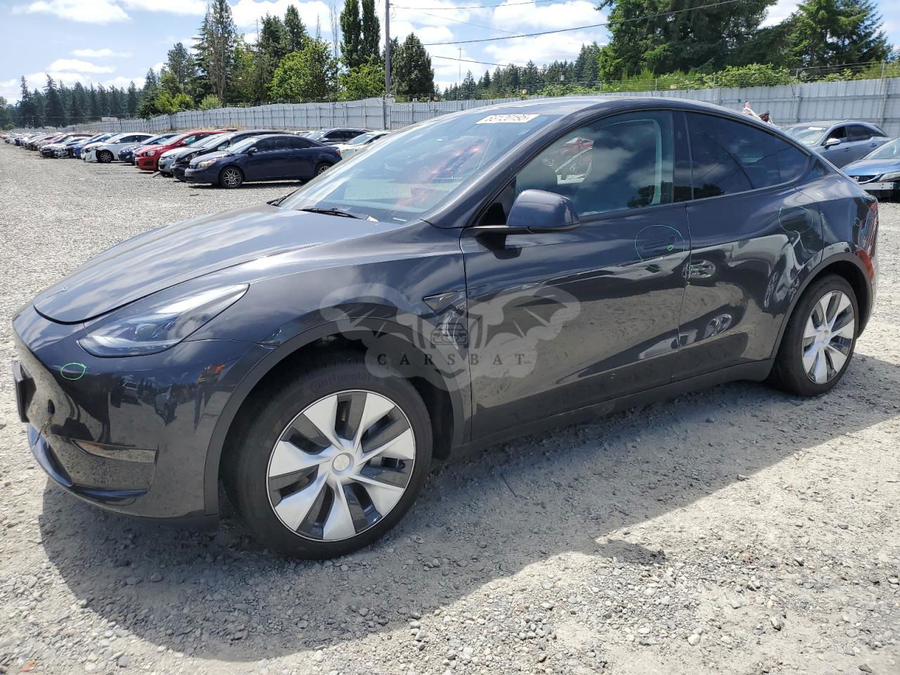 Tesla Model Y 2024
