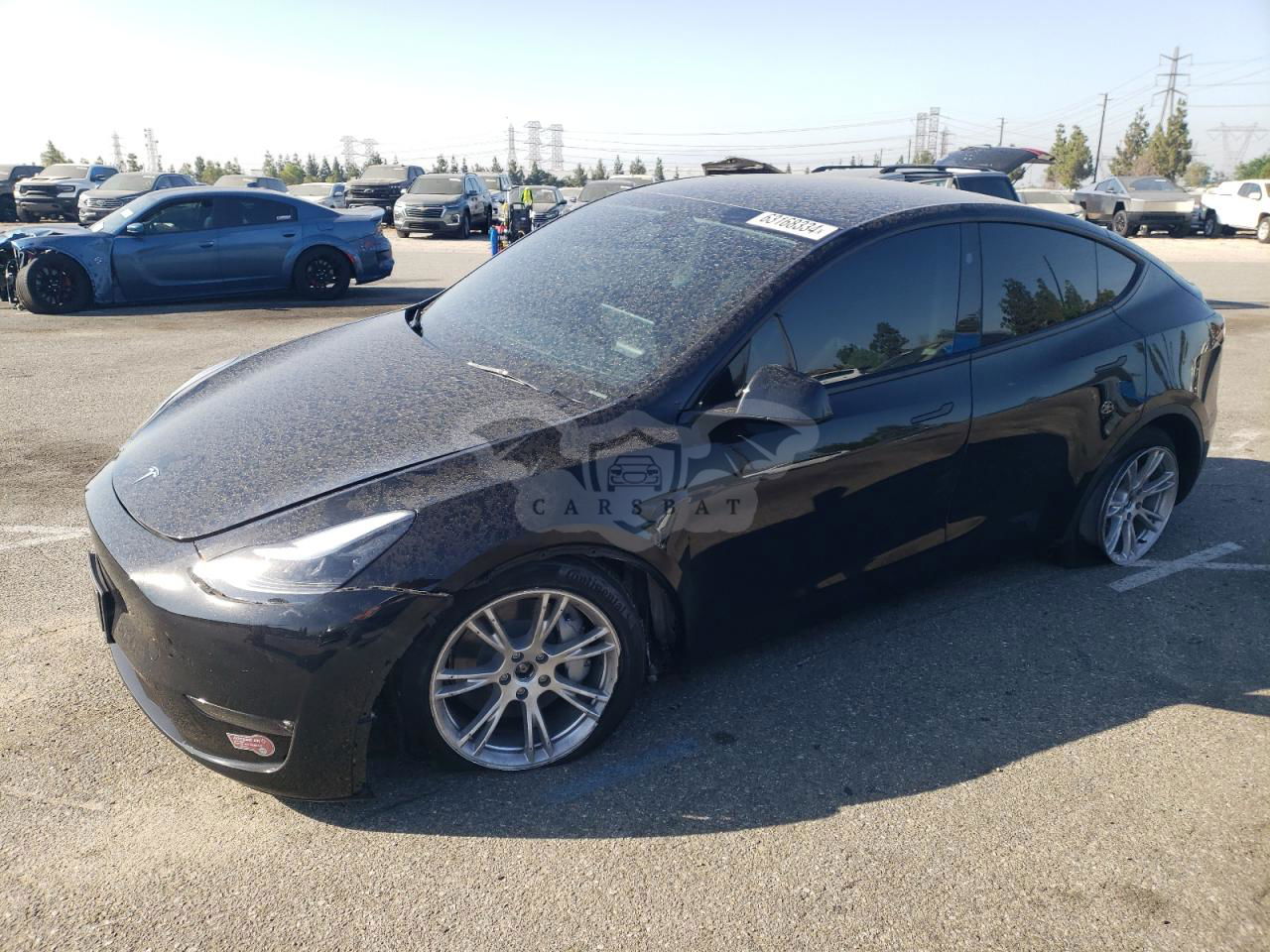 Tesla Model Y 2024