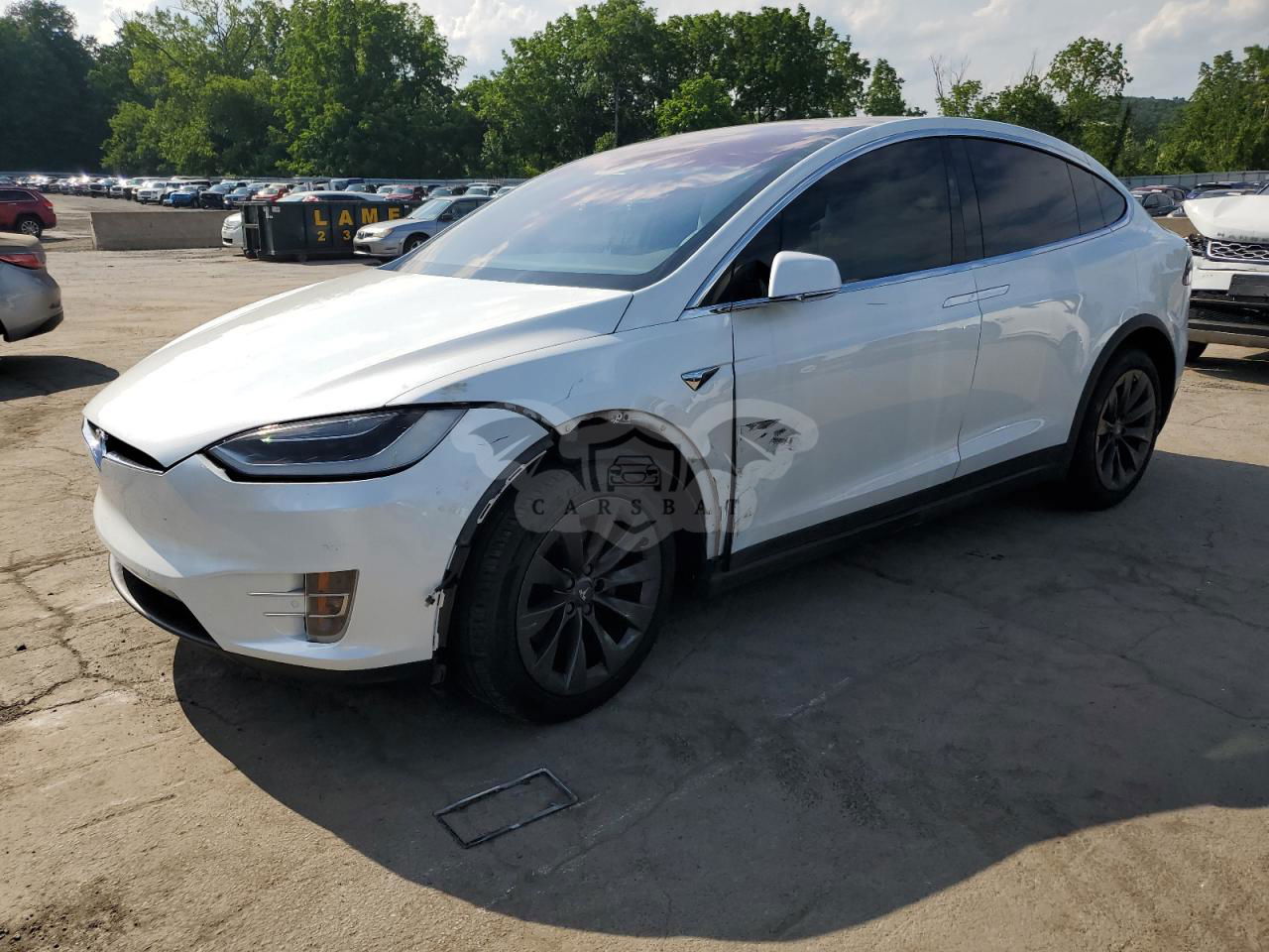 Tesla Model X 2019