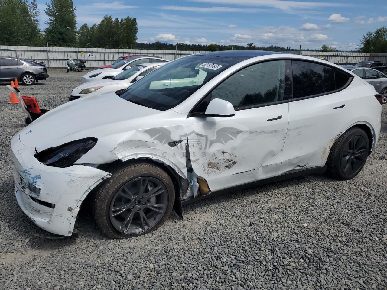Tesla Model Y 2024