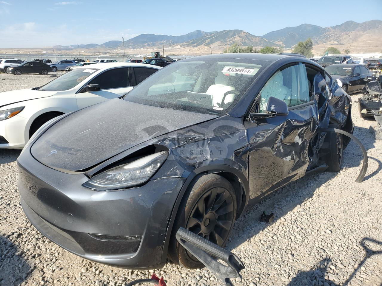 Tesla Model Y 2021