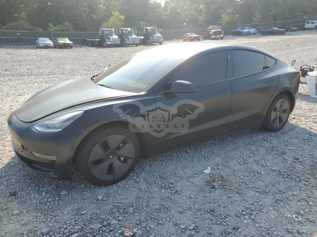 Tesla Model 3 2021