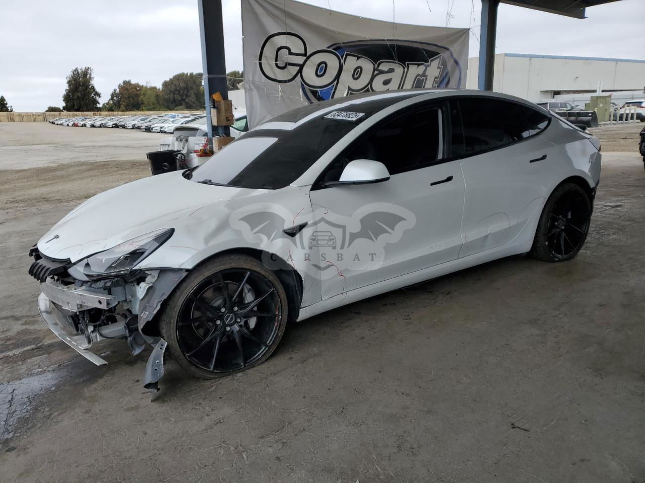 Tesla Model 3 2021